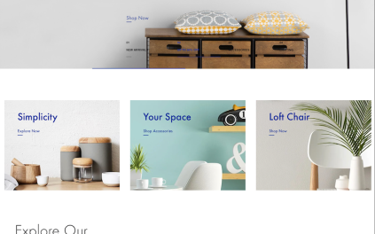 什么是跨境独立站